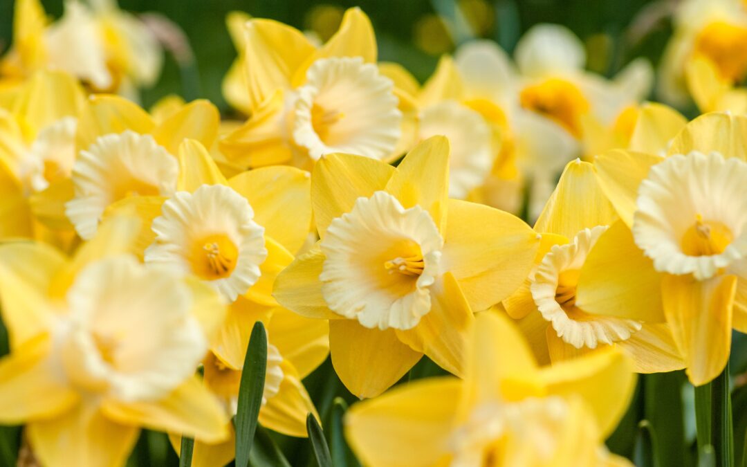 Ministry & Personnel Workshops