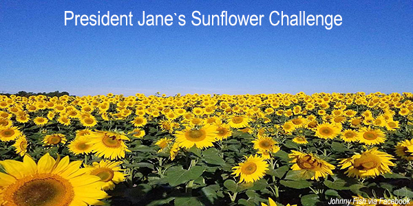 President Jane’s Sunflower Challenge