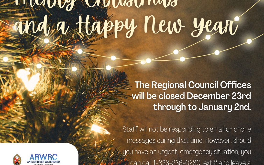 Blessings for a Merry Christmas and a Happy New Year!