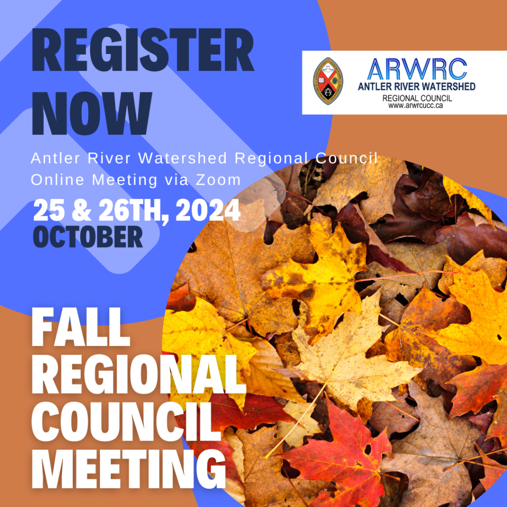 red, yellow and brown fall leaves on a blue background promoting a fall meeting